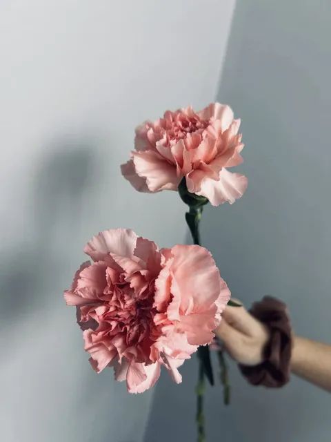Realizacja Bloom Room