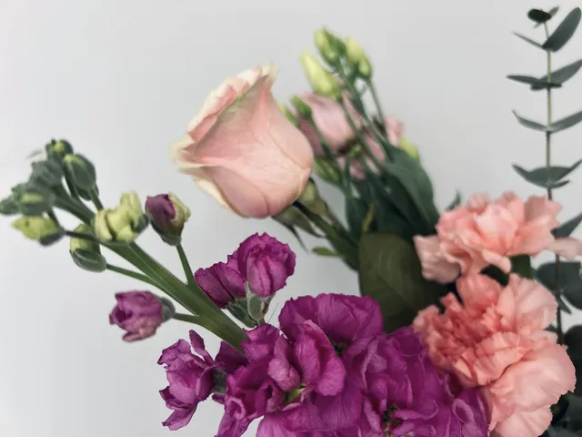 Realizacja Bloom Room