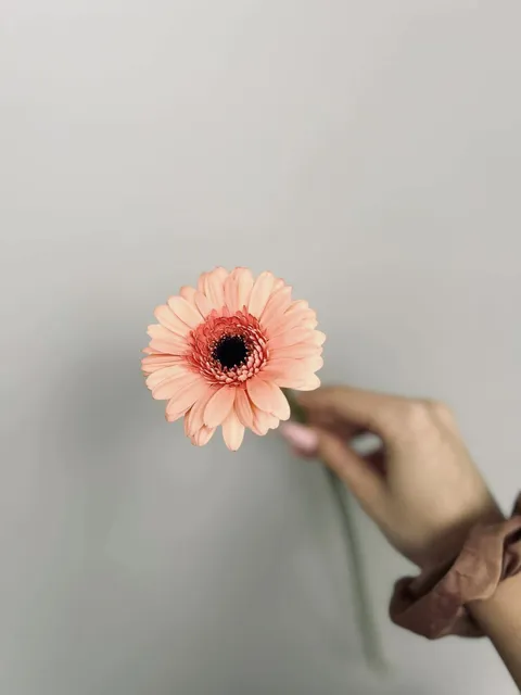 Realizacja Bloom Room